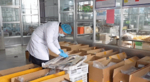 Hair Extensions Manufacturer